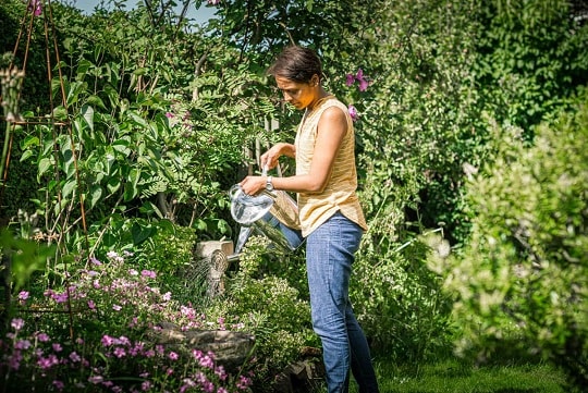 Regional water needs